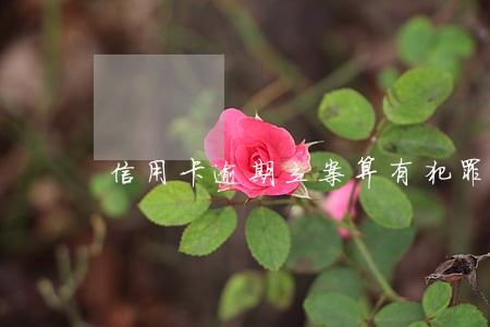 信用卡逾期立案算有犯罪记录吗 信用卡逾期立案算有犯罪记录吗