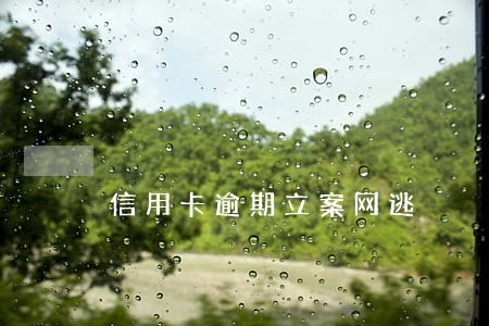 信用卡逾期立案网逃