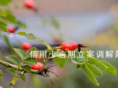 信用卡逾期立案调解最长时间 信用卡逾期立案调解最长时间