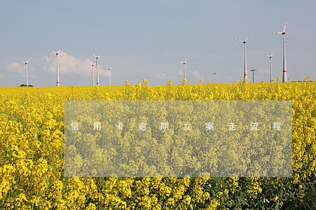 信用卡逾期立案走流程 信用卡逾期立案走流程