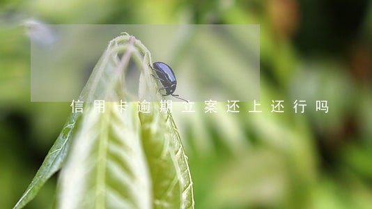 信用卡逾期立案还上还行吗 信用卡逾期立案还上还行吗