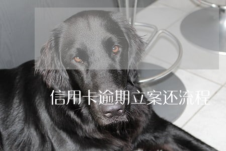 信用卡逾期立案还流程 信用卡逾期立案还流程