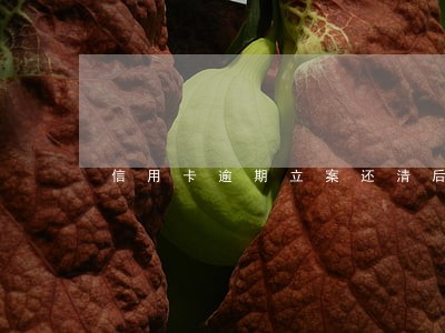 信用卡逾期立案还清后 信用卡逾期立案还清后