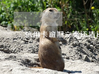 信用卡逾期立案还清还要坐牢