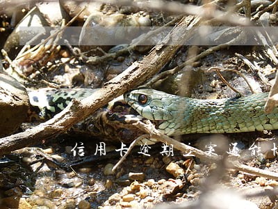 信用卡逾期立案还能协商 信用卡逾期立案还能协商