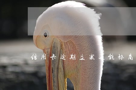 信用卡逾期立案还能协商吗6 信用卡逾期立案还能协商吗6