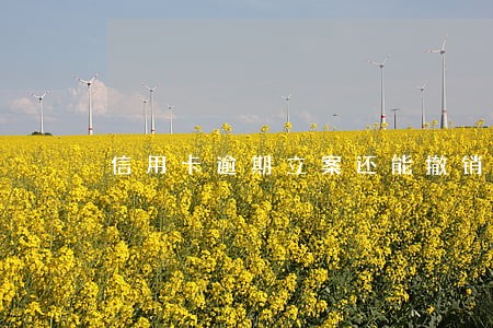 信用卡逾期立案还能撤销 信用卡逾期立案还能撤销