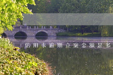 信用卡逾期立案金额是多少