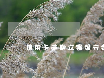 信用卡逾期立案银行会通知吗