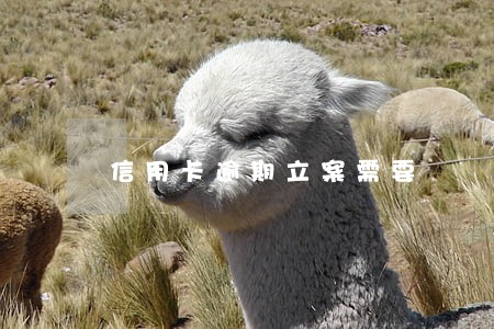 信用卡逾期立案需要 信用卡逾期立案需要