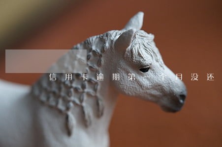 信用卡逾期第一个月没还 信用卡逾期第一个月没还