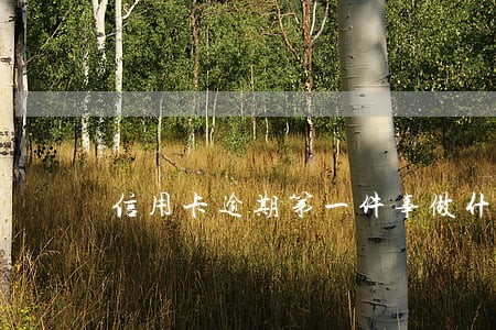 信用卡逾期第一件事做什么