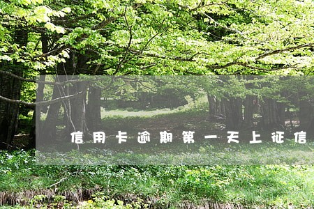 信用卡逾期第一天上征信 信用卡逾期第一天上征信
