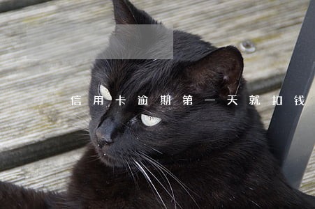 信用卡逾期第一天就扣钱 信用卡逾期第一天就扣钱