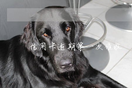 信用卡逾期第一次催收