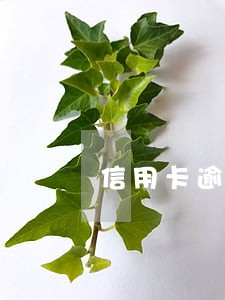 信用卡逾期第一次开庭 信用卡逾期第一次开庭