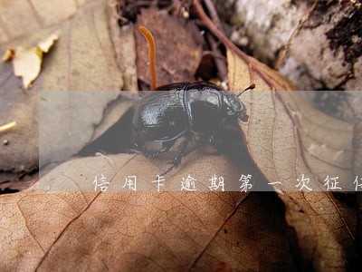 信用卡逾期第一次征信上报