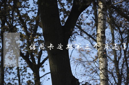 信用卡逾期第三个月还了 信用卡逾期第三个月还了