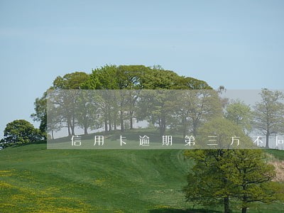 信用卡逾期第三方不同意协商分期 信用卡逾期第三方不同意协商分期
