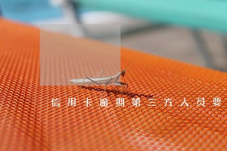 信用卡逾期第三方人员要上门 信用卡逾期第三方人员要上门