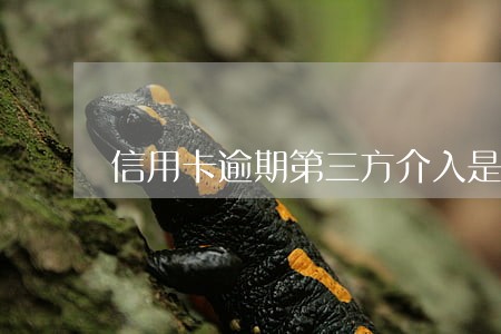 信用卡逾期第三方介入是要坐牢吗
