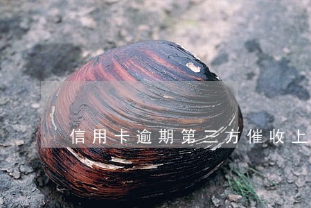 信用卡逾期第三方催收上门 信用卡逾期第三方催收上门