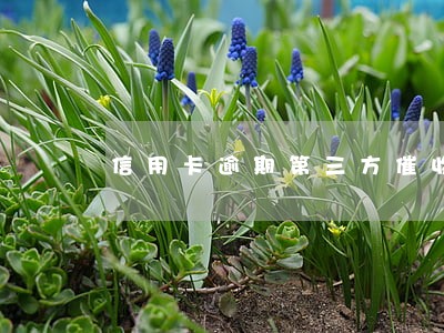 信用卡逾期第三方催收工作证 信用卡逾期第三方催收工作证