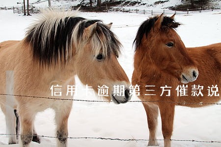 信用卡逾期第三方催款说到我老家