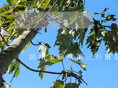 信用卡逾期第三方催款说直接抓人 信用卡逾期第三方催款说直接抓人