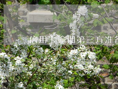 信用卡逾期第三方准备上门 信用卡逾期第三方准备上门
