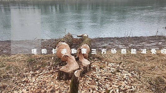 信用卡逾期第三方协商能减免吗