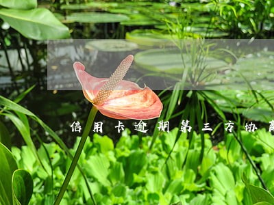 信用卡逾期第三方协商靠谱吗 信用卡逾期第三方协商靠谱吗