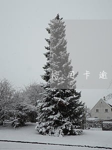 信用卡逾期第三方告知要报案 信用卡逾期第三方告知要报案
