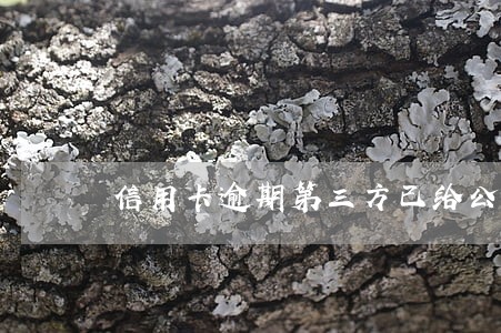 信用卡逾期第三方已给公司打电话 信用卡逾期第三方已给公司打电话