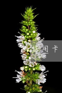 信用卡逾期第三方报警经侦科