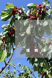 信用卡逾期第三方散播信息抓我 信用卡逾期第三方散播信息抓我
