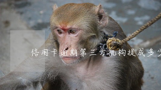 信用卡逾期第三方机构提成多少 信用卡逾期第三方机构提成多少
