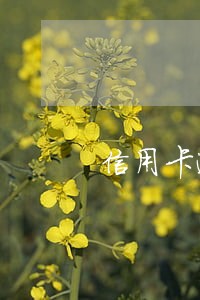 信用卡逾期第三方来协商是真的吗 信用卡逾期第三方来协商是真的吗