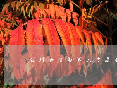 信用卡逾期第三方没通知突然上门 信用卡逾期第三方没通知突然上门
