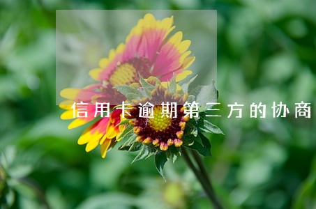 信用卡逾期第三方的协商吗 信用卡逾期第三方的协商吗