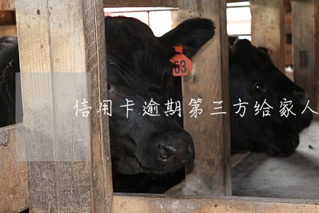 信用卡逾期第三方给家人发信息