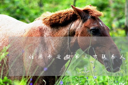 信用卡逾期第三方联系人 信用卡逾期第三方联系人