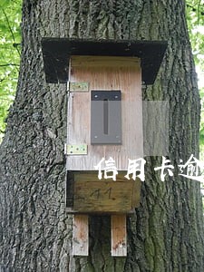 信用卡逾期第三方能上门吗
