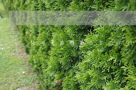 信用卡逾期第三方说上门 信用卡逾期第三方说上门