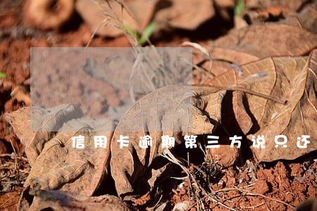 信用卡逾期第三方说只还本金 信用卡逾期第三方说只还本金