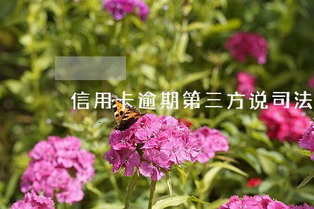 信用卡逾期第三方说司法局 信用卡逾期第三方说司法局