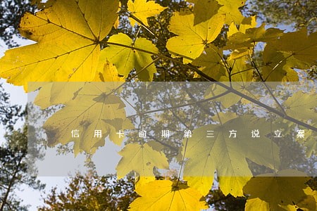 信用卡逾期第三方说立案 信用卡逾期第三方说立案
