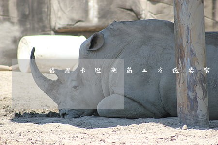 信用卡逾期第三方说要家访 信用卡逾期第三方说要家访