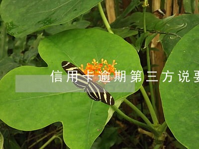 信用卡逾期第三方说要来我家 信用卡逾期第三方说要来我家