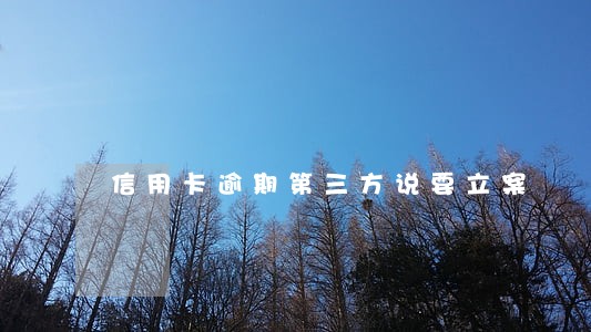 信用卡逾期第三方说要立案 信用卡逾期第三方说要立案